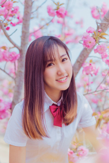 战神龙大谷电视剧免费观看