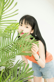 电视剧《安全危机》在线观看免费